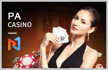 Cá cược bóng chuyền và đua ngựa